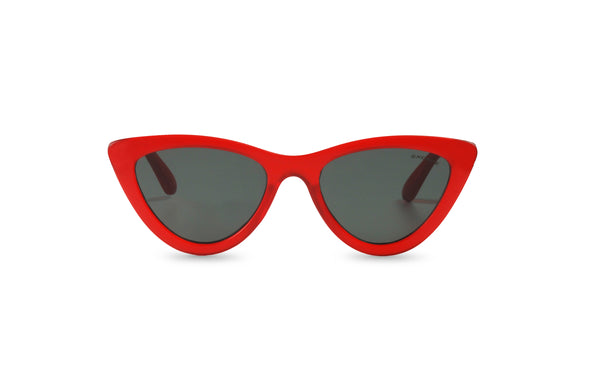 SUNGLASSES 6.1